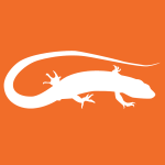 Space Lizard Studio Logo. An orange lizard